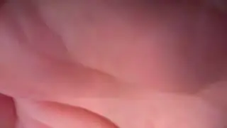 biflexible Live Webcam