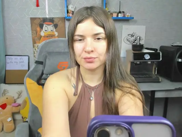 linerapitts Live Webcam